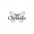 Chrysalis (2)
