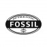Fossil (5)