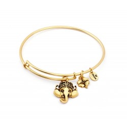 Ambition Expandable Bangle