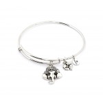 Ambition Expandable Bangle