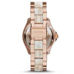 Cecile Beige Horne Dial Ladies Quartz Watch